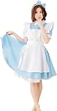 【ノーブランド品】アリス コスプレ 衣装 大人用 メイド服 カチューシャ 付 3点 セット ハロウィン クリスマス パーティー に Sunny Corner (L)