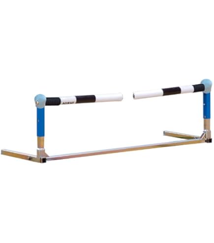 NISHI アジリティースラッツ 12枚組 Amazon | NISHI(ニシ・スポーツ) アジリティースラッツ T7441B | ニシ