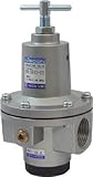 日本精器 レギュレータ 20A 中圧用 BN3R01H120