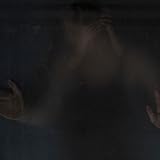 THE WASP FACTORY [LP] [Analog]