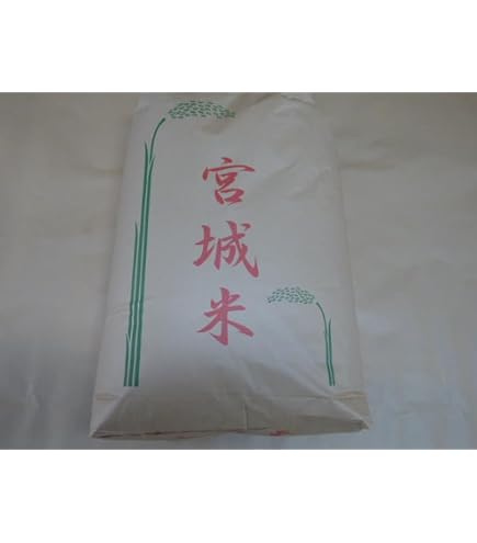 Amazon.co.jp: 令和7年産 佐賀県産 もち米 玄米30kg【ヒヨクモチ