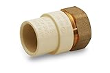 Everflow Supplies鉛フリーにアダプタ継手真鍮メスとA CPVC接続 3/4 inch BRCPF034-NL 1