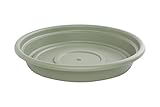 Bloem 8インチデュラコタソーサーリビンググリーンSDC8-42