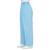 工場用白衣/ユニフォーム 【女子 総ゴムトレパン L/サックス】 ノータック 脇ファスナー 抗菌 制電 『workfriend』 SKH100 スポーツ レジャー DIY 工具 作業着 top1-ds