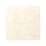 東リ ビニル床タイル フェイソールプルス サイズ 45cm×45cm 色 FPT2011 14枚セット【日本製】