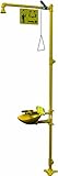 Bradley S19-310FW Galvanized Steel 3 Spray Head Combination Drench Showers and Eyewash Unit with Pla