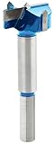 Roman Carbide DC1856 Carbide Forstner Bit, 1-1/4-Inch [並行輸入品]