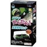 Amazon Co Jp マルカン はじめてのかんたん昆虫標本セット おもちゃ