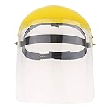 P Prettyia フェイスシール　防護面　スパッタ保護　溶接 工業 鉱山 作業現場　安全ヘルメット - 透明