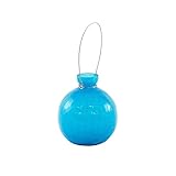 Achla Designs Goblet Rooting Vase, Teal [並行輸入品]