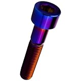 EALE キャップボルト M8×40mm P1.25 チタンボルト 六角穴付き 焼きチタン