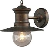 Artistic Lighting 42005/1 1-Light 9-Inch W x 10-Inch H Wall Bracket In Hazelnut Bronze And Clear See