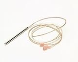 Blodgett 18588 Temperature Probe by Blodgett [並行輸入品]