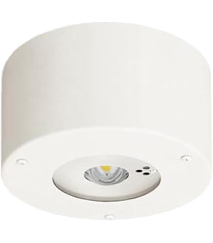 Amazon | パナソニック(Panasonic) LED非常用照明器具 直付 低天井用 