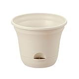 【ノーブランド品】ウルオポット30型アイボリー[リッチェル プラ鉢 底面給水コンテナ]