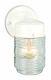 High Quality 500181 Jelly Jar 1 Light Indoor/Outdoor Wall Light, White