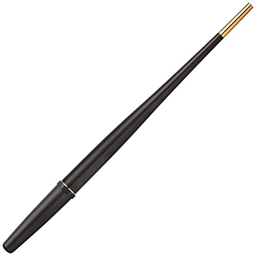 パイロット 万年筆 デスクペン DPN200BEF 黒軸 | 文具百貨
