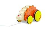 Wonderworld Little Hedgehog