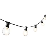 G16.5 Classic Black 30 Foot String Light with 25 Clear Globe Bulbs, Connects up to 3 Additional Stra