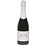 サンテロ 天使のアスティ 白 750ml [並行輸入品]