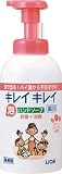 [8199664]ライオン　キレイキレイ薬用泡ハンドソープ　フルーツミックスの香り　５５０ｍｌ BPPGHJL