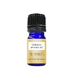 アンドエスエイチ 100％ピュア オークモス アブソリュート 65％希釈オイル 5ml エッセンシャルオイル
