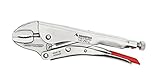 Rennsteig Quality Grip Pliers/Locking Pliers with Wire Cutter 10 Inch (Made in Germany) [並行輸入品]