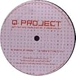 Q Project / Faith In Chaos