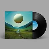 Infinite Health [輸入盤LP] (ZEN308)_1963 [Analog]