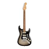Fender エレキギター Player Plus Stratocaster® HSS, Pau Ferro Fingerboard, Silverburst