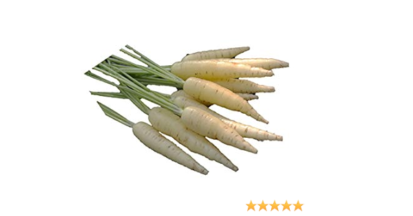 Amazon 白人参 種 40粒 F1 新品種 野菜