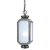 Troy 1Lt Hanging Lantern Lighting F2005HB 1Lt Hanging Lantern [並行輸入品]