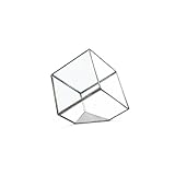 ジオ テラリウム Sサイズ Geo Terrarium “S”