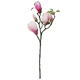 マグノリアウィルソン FXFF0020PNK