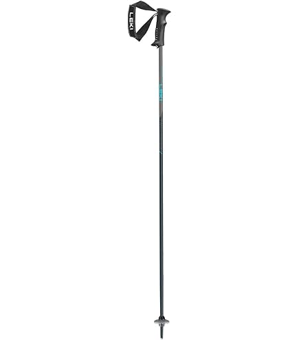 Amazon | [スウィックス] アルペンスキー ポール ALPINE POLE ワールド