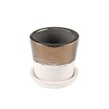 ダルトン(Dulton) 園芸用品 テラコッタ バイカラー ポット XSサイズ 底穴あり TERRACOTTA BICOLOR POT G20-0202XS