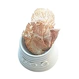 犬の一日 犬 おやつ 合鴨せんべい 40g×10 国産 無添加 手作り アレルギー グルテンフリー 犬用