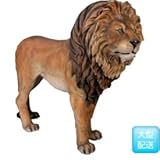 FRP　雄ライオン / Lion King　【動物園オブジェ　アニマルオブジェ　店舗・イベント向け】