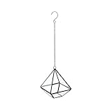 スパイス フラワーベース ガラステラリウム ハンギング スクエア GFGY5010