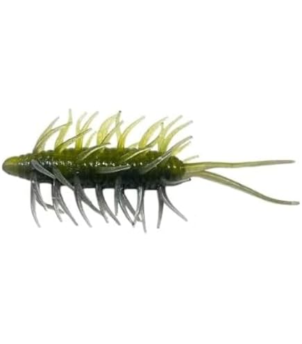 Amazon | ハイドアップ コイケシュリンプミディアム Fエコ ＃103