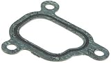 Victor Reinz Water Flange Gasket [並行輸入品]