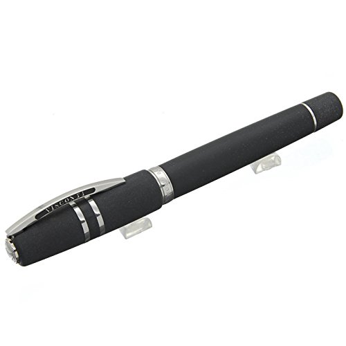 VISCONTI ビスコンティ 万年筆 ホモサピエンス マリーンスティール