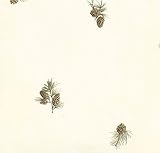 Chesapeake HTM49465 Jensen Neutral Pinecone Toss Wallpaper by Chesapeake