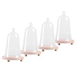 B Baosity 木製　ガラスカバー　植物　花　花瓶　テラリウム　装飾品　　