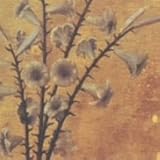 ������S���B�`Romance of Scarlet�`