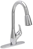 Premier Faucet 300982 Waterfront Kitchen Faucet with Pull Down Spout, Chrome [並行輸入品]