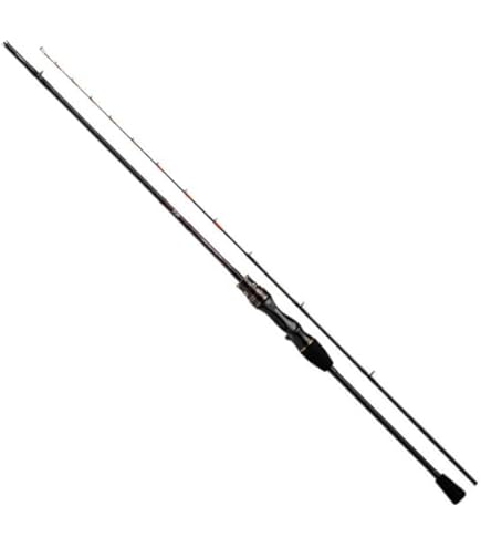 ダイワ　アナリスター　マルイカ マルチ Amazon | ダイワ アナリスター マルイカ ゼロテン | ダイワ(DAIWA) | 船竿