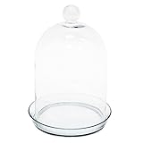 Achla BJT-02 Bell Jar Terrarium II - Glass