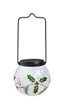 Evergreen Festive Holly 4-Inch Solar Hanging Globes [並行輸入品]