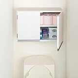 ディノス トイレ 洗面所 ランドリー収納 洗面所収納 隙間収納 光沢仕上げ吊り戸棚 横型扉タイプ 幅60cm高さ40cm